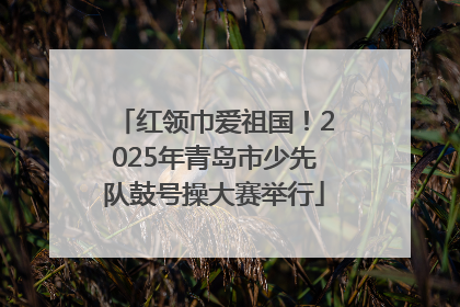 红领巾爱祖国！2025年青岛市少先队鼓号操大赛举行