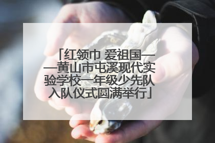红领巾 爱祖国——黄山市屯溪现代实验学校一年级少先队入队仪式圆满举行