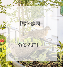 绿色家园 分类先行