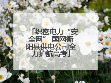 织密电力“安全网” 国网衡阳县供电公司全力护航高考