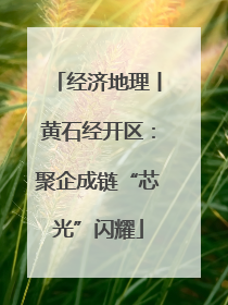 经济地理丨黄石经开区：聚企成链“芯光”闪耀