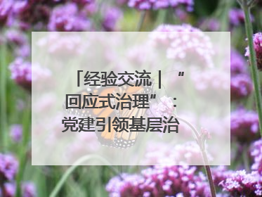 经验交流｜“回应式治理”：党建引领基层治理新模式