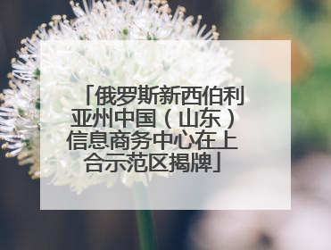俄罗斯新西伯利亚州中国（山东）信息商务中心在上合示范区揭牌