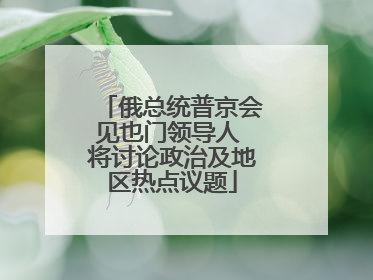 俄总统普京会见也门领导人 将讨论政治及地区热点议题