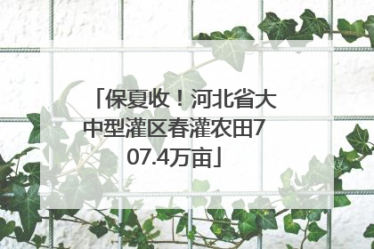 保夏收！河北省大中型灌区春灌农田707.4万亩
