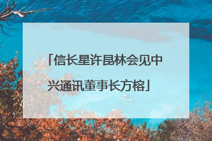 信长星许昆林会见中兴通讯董事长方榕