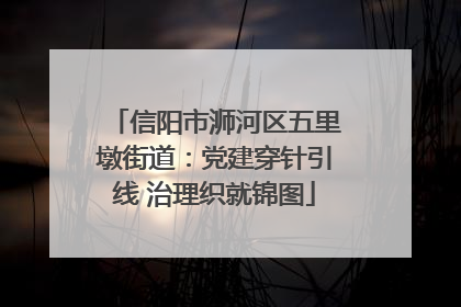 信阳市浉河区五里墩街道：党建穿针引线 治理织就锦图