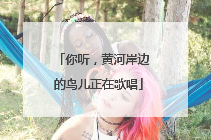 你听，黄河岸边的鸟儿正在歌唱
