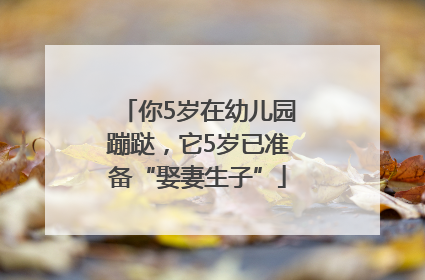 你5岁在幼儿园蹦跶，它5岁已准备“娶妻生子”