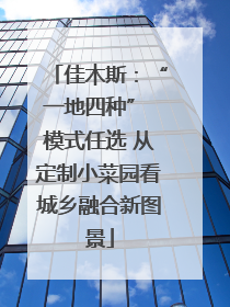 佳木斯：“一地四种” 模式任选 从定制小菜园看城乡融合新图景