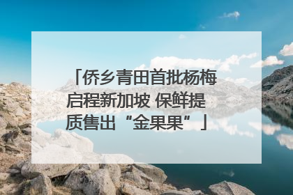 侨乡青田首批杨梅启程新加坡 保鲜提质售出“金果果”