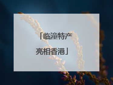 临潼特产亮相香港