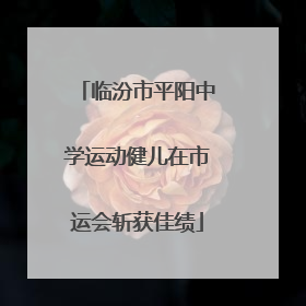 临汾市平阳中学运动健儿在市运会斩获佳绩
