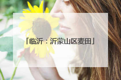 临沂：沂蒙山区麦田