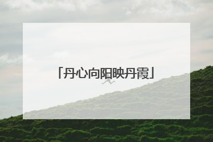 丹心向阳映丹霞