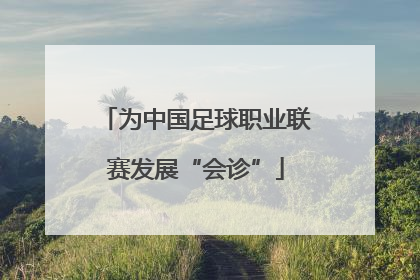 为中国足球职业联赛发展“会诊”
