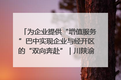 为企业提供“增值服务”巴中实现企业与经开区的“双向奔赴”｜川陕渝网络名人巴中行