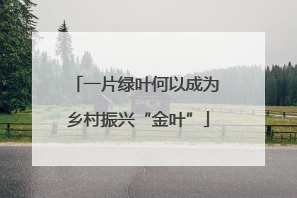 一片绿叶何以成为乡村振兴“金叶”