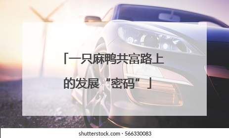 一只麻鸭共富路上的发展“密码”