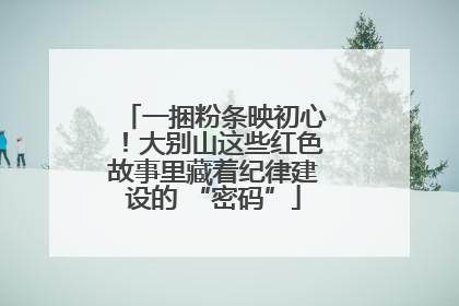 一捆粉条映初心！大别山这些红色故事里藏着纪律建设的 “密码”