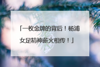 一枚金牌的背后！杨浦女足精神薪火相传！