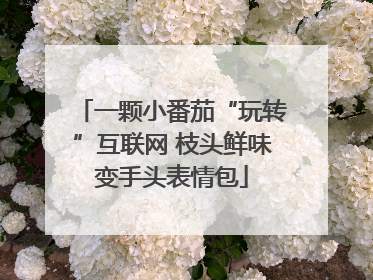 一颗小番茄“玩转”互联网 枝头鲜味变手头表情包