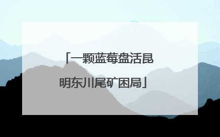 一颗蓝莓盘活昆明东川尾矿困局