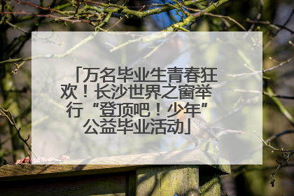 万名毕业生青春狂欢！长沙世界之窗举行“登顶吧！少年”公益毕业活动