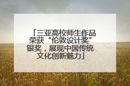 三亚高校师生作品荣获“伦敦设计奖”银奖，展现中国传统文化创新魅力