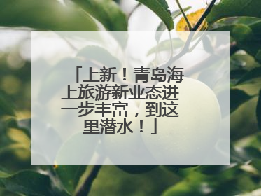 上新！青岛海上旅游新业态进一步丰富，到这里潜水！