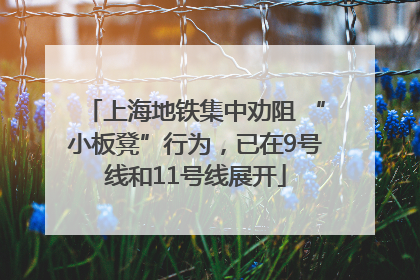 上海地铁集中劝阻 “小板凳”行为，已在9号线和11号线展开