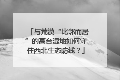 与荒漠“比邻而居”的高台湿地如何守住西北生态防线？