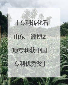 专利转化看山东｜淄博2项专利获中国专利优秀奖