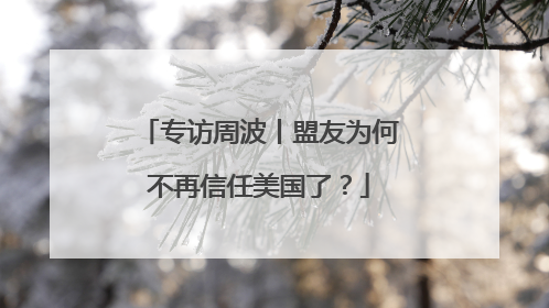 专访周波丨盟友为何不再信任美国了？
