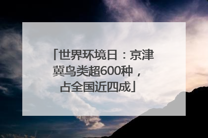 世界环境日：京津冀鸟类超600种，占全国近四成