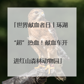 世界献血者日丨环湖“超”热血！献血车开进红山森林动物园