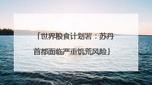 世界粮食计划署：苏丹首都面临严重饥荒风险