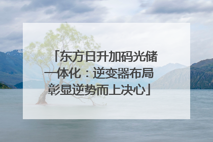 东方日升加码光储一体化：逆变器布局彰显逆势而上决心