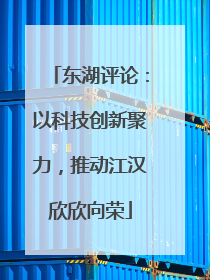 东湖评论：以科技创新聚力，推动江汉欣欣向荣