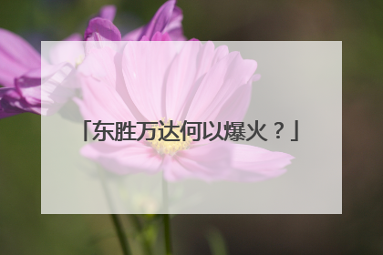 东胜万达何以爆火？