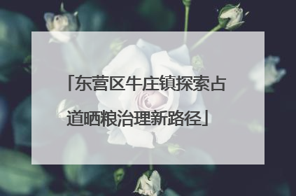 东营区牛庄镇探索占道晒粮治理新路径