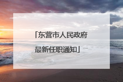 东营市人民政府最新任职通知