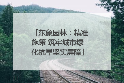 东象园林：精准施策 筑牢城市绿化抗旱坚实屏障