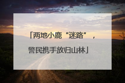 两地小鹿“迷路”，警民携手放归山林