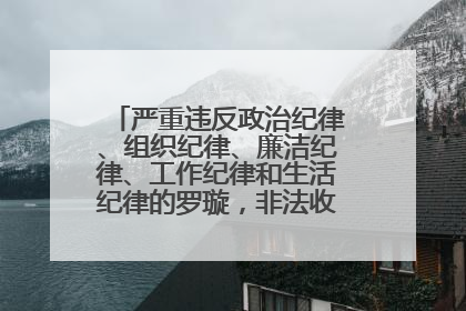 严重违反政治纪律、组织纪律、廉洁纪律、工作纪律和生活纪律的罗璇，非法收受他人巨额财物