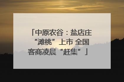 中原农谷：盐店庄“滩桃”上市 全国客商凌晨“赶集”