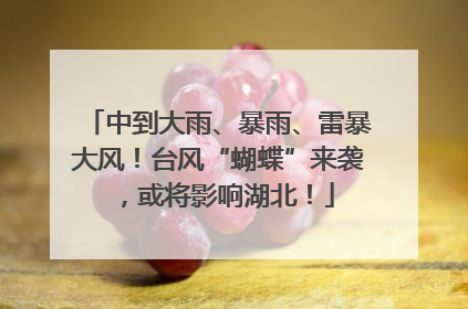 中到大雨、暴雨、雷暴大风！台风“蝴蝶”来袭，或将影响湖北！