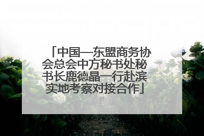 中国—东盟商务协会总会中方秘书处秘书长鹿德晶一行赴滨实地考察对接合作