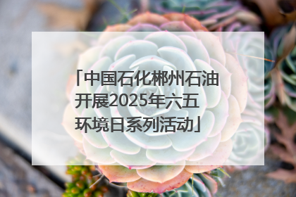 中国石化郴州石油开展2025年六五环境日系列活动