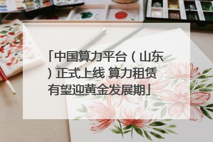 中国算力平台（山东）正式上线 算力租赁有望迎黄金发展期